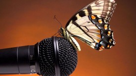 Butterfly On Microphone Wallpaper