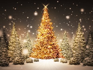 Christmas tree lightining Wallpaper