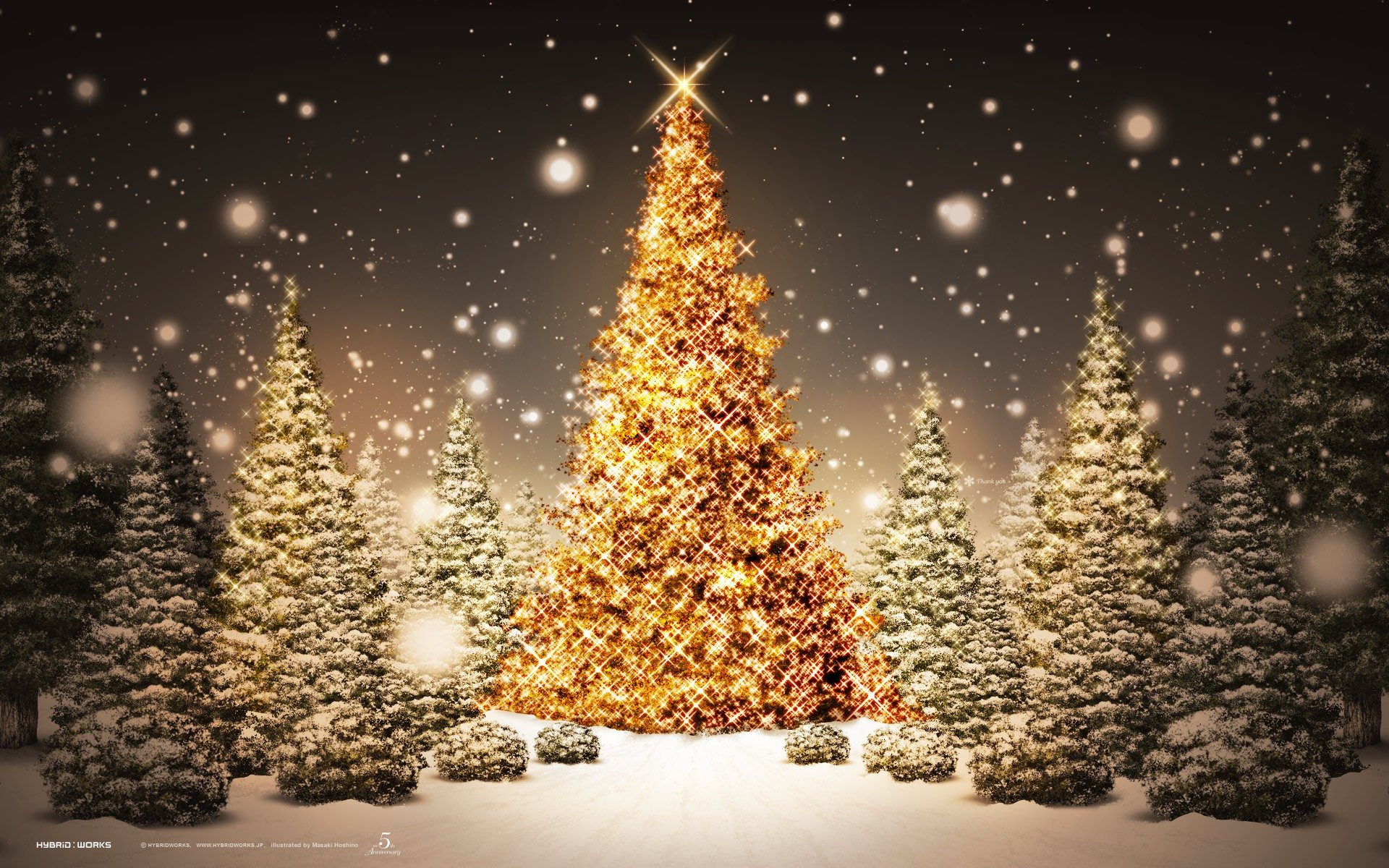 Christmas tree lightining Wallpaper