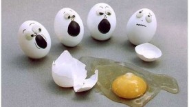 Funny and Clever Eggs