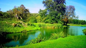HD Green Nature Wallpapers