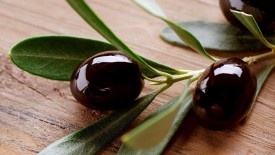 Olive Hd Widescreen Wallpapers