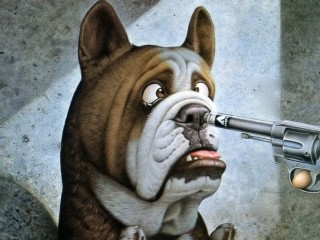 Pictures Funny Dogs Animated Wallpapers