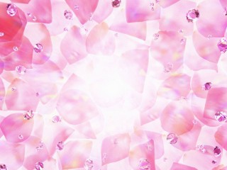 Pink Rose Petals 1080p Flowers HD Wallpaper