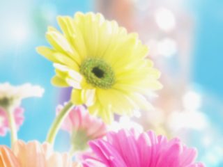 backgrounds  for  laptops