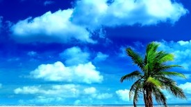 Beach Holiday Wallpapers