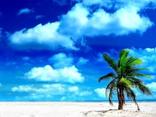 Beach Holiday Wallpapers