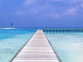 Beach Way Iphone Panoramic Wallpaper HD Pic