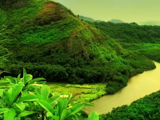 Beautiful Green Nature Sceanery High Definition Wallpapers