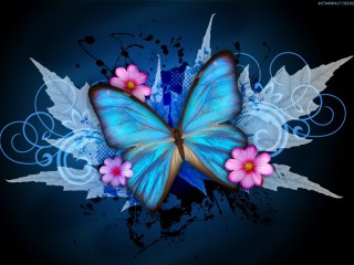 Blue Butterfly Cynthia Selahblue Cynti