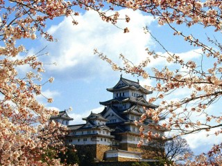 Castles Japanese Spring Flowers