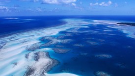 Coral Reef Australia Hd Background Wallpaper HD Pic