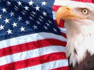Eagle Flags Usa