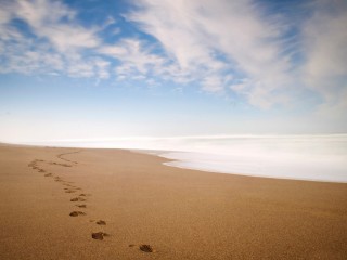 Footprints In The Sand Iphone Panoramic Wallpaper HD Pic