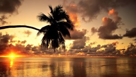 Hawaiian Sunset Hd Beach Wallpapers 1080p HD Pic