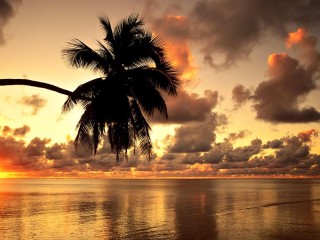 Hawaiian Sunset Hd Beach Wallpapers 1080p HD Pic