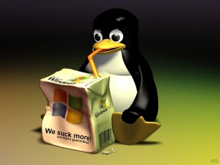 Linux Penguin Windows XP 3D Wallpaper