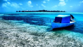Maldives Clearwater Beach 2013 HD Wallpaper HD Pic