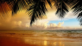 Palm Sunset 3 Hd Widescreen Wallpapers 1680×1050 HD Pic