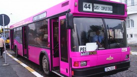 Pink Bus on Road Looking Awesome
