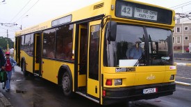 Yellow Bus With Black Glasses